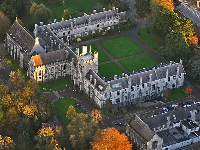Cork