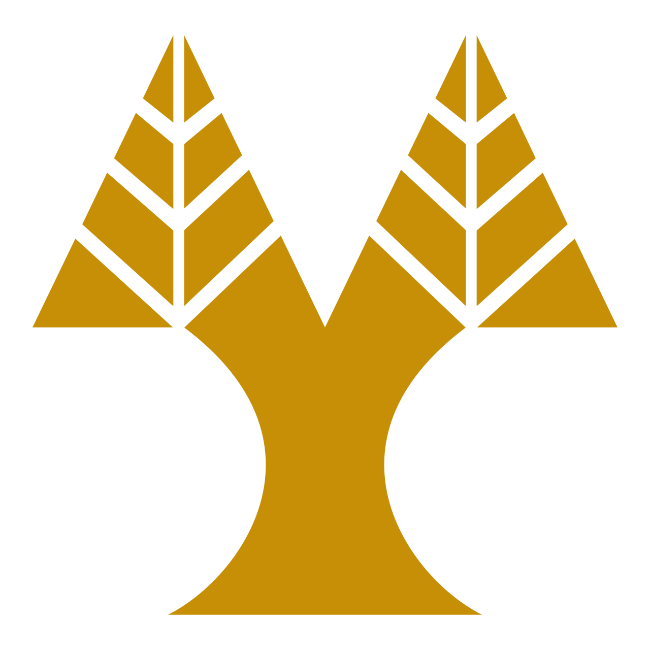 University of Cyprus